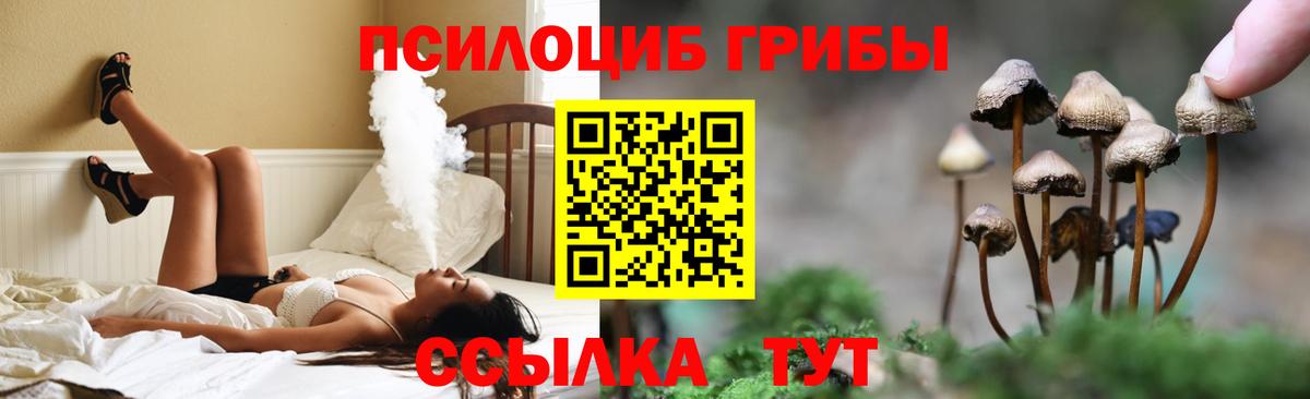 Псилоцибиновые грибы мицелий  Вход с VPN  купить  цена  Галлюциногенные грибы GOLDEN TEACHER  Сальск 